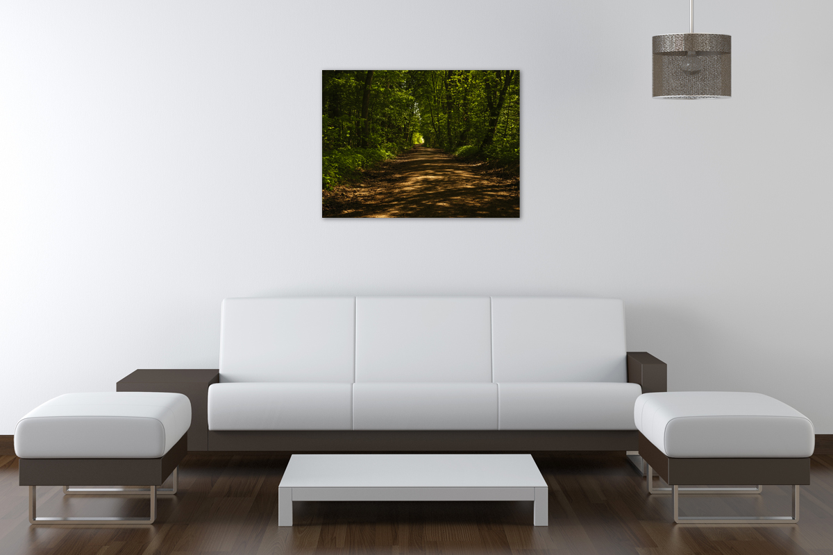 2-108-1724-wohnzimmer-waldweg-schatten-xxl-bild-portraets_l