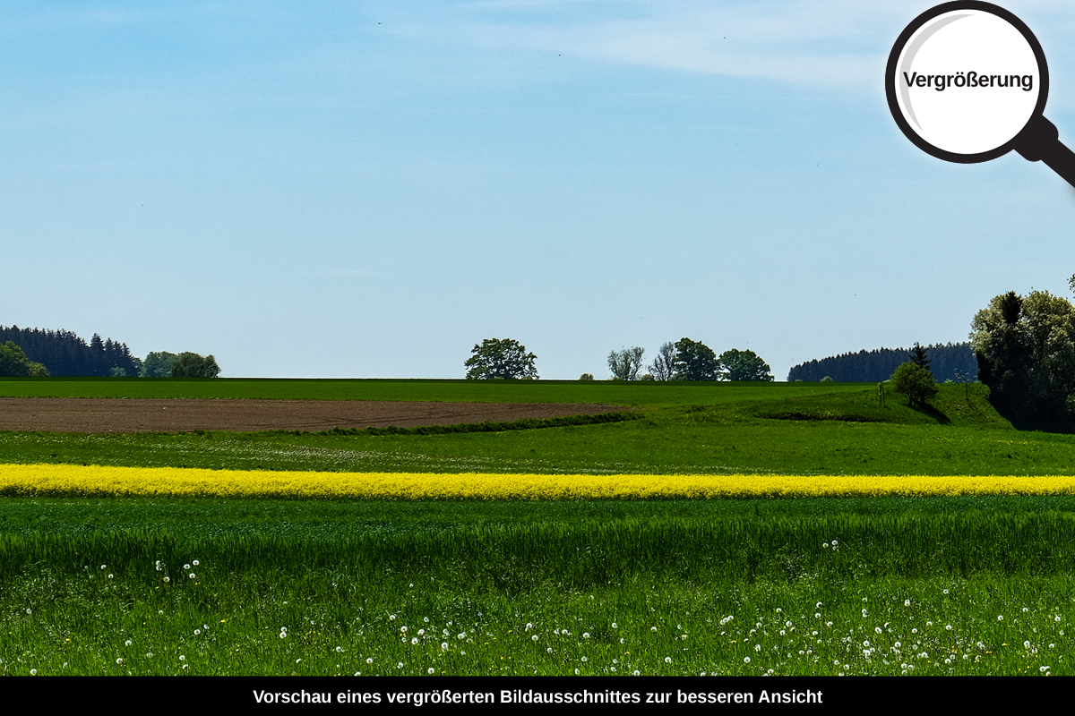 3-105-1726-bild-gross-blumenfeld-wolken-himmel-bahn_l