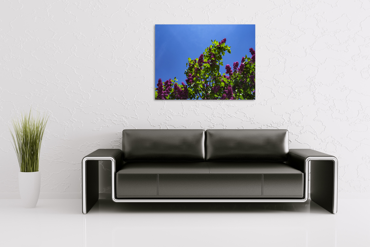 2-108-1727-wohnzimmer-flieder-mai-fruehling-online-galerie-malerei_l