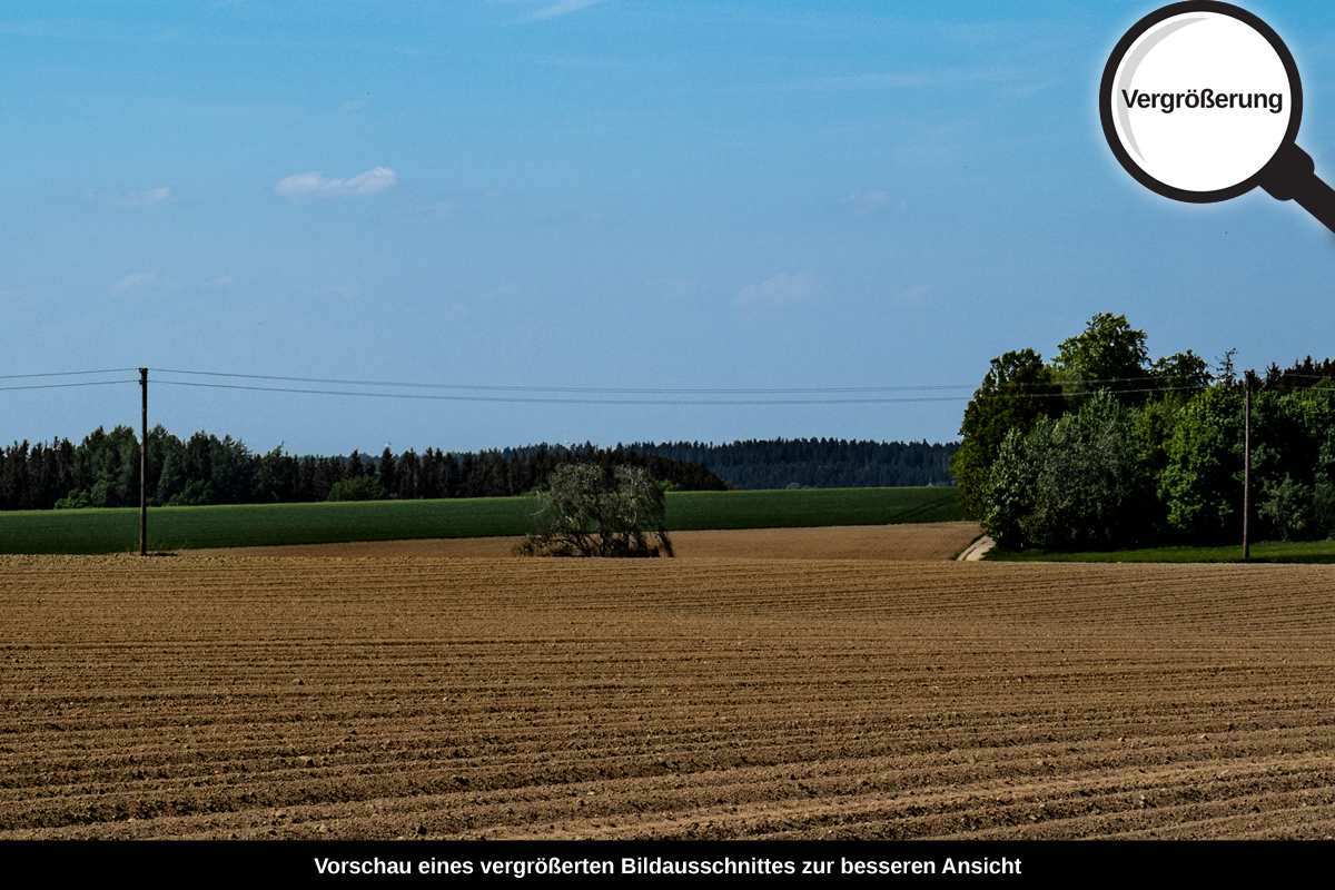 3-105-1732-bild-gross-ackerfeld-himmel_l