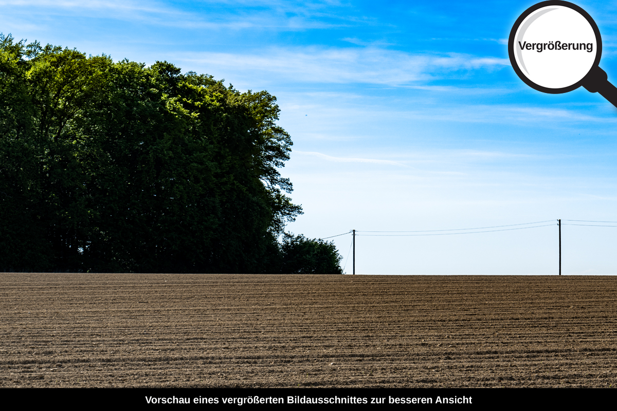 3-105-1733-bild-gross-acker-wolken_l