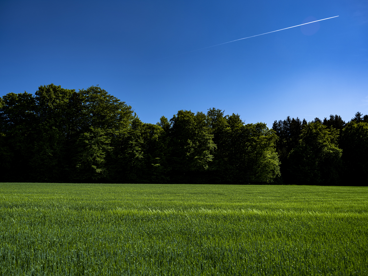 1-105-1734-gruene-landschaft-flugzeug-im-himmel-online-kaufen-personalisierung_l