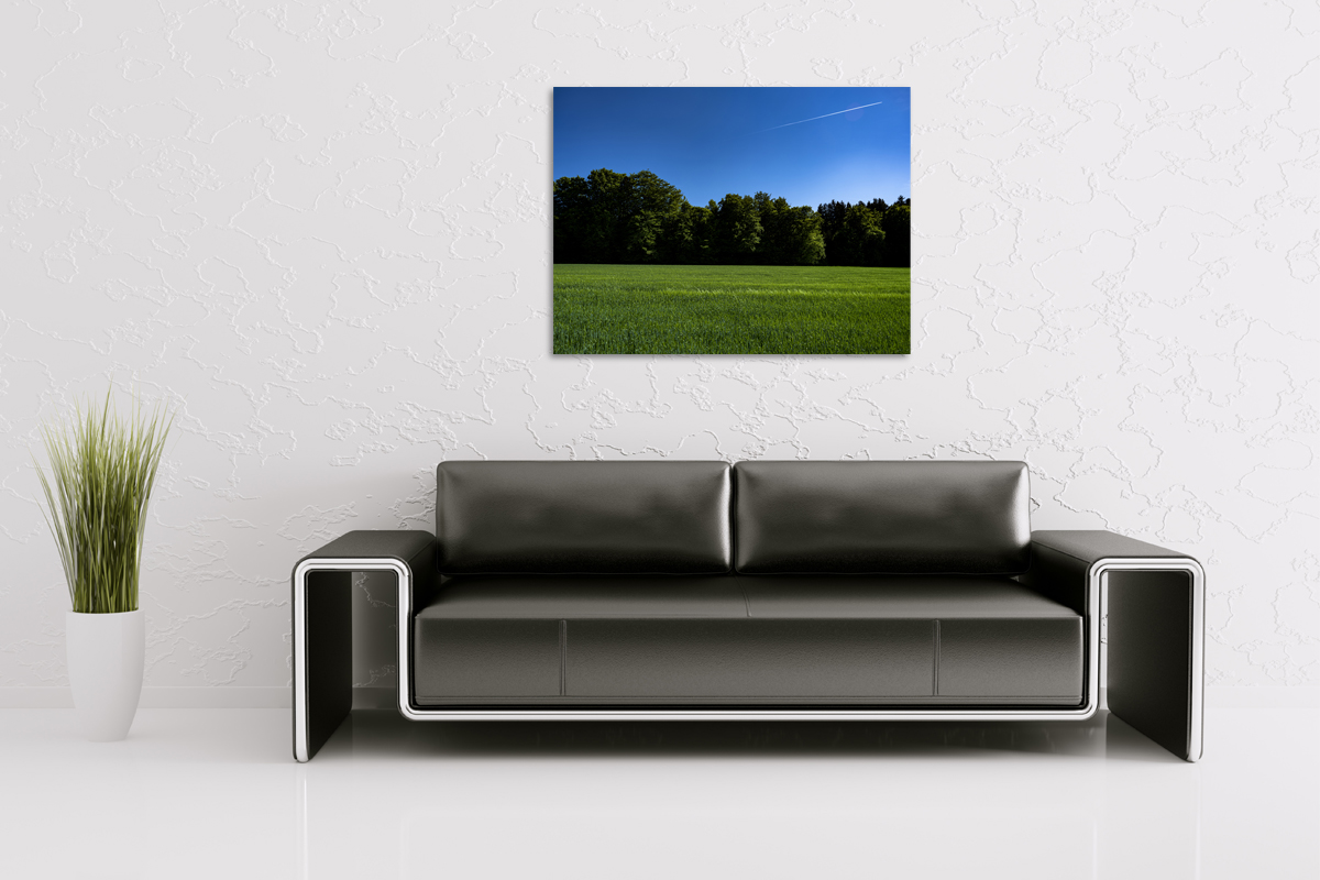 2-105-1734-wohnzimmer-gruene-landschaft-flugzeug-im-himmel-online-kaufen-personalisierung_l