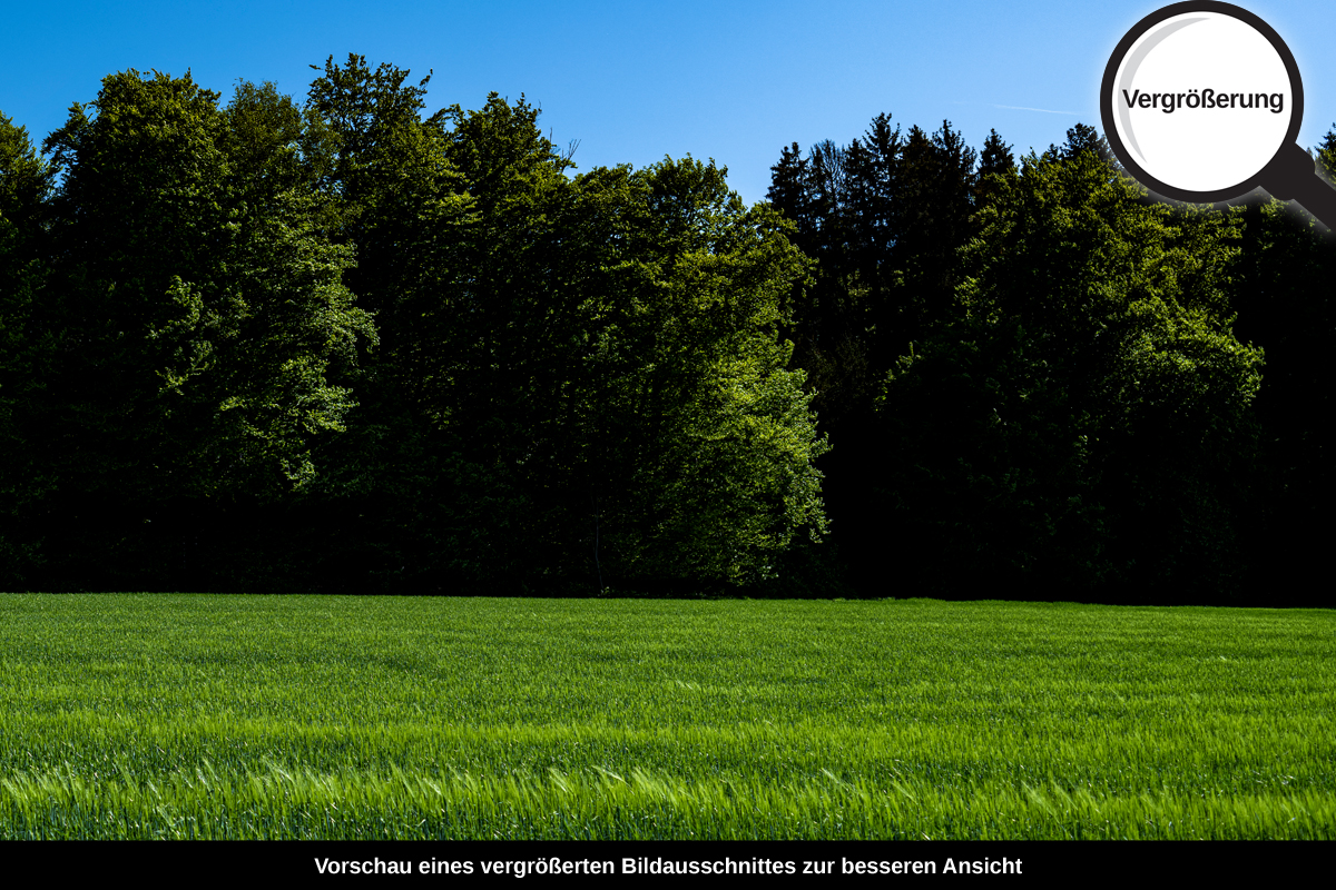 3-105-1734-bild-gross-gruene-landschaft-flugzeug-im-himmel_l