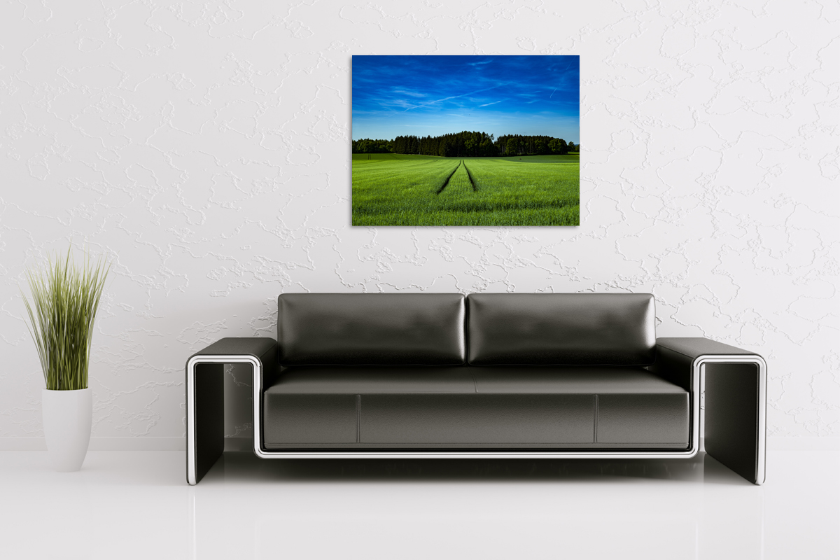 2-105-1736-wohnzimmer-grasfeld-landschaft-gruen-wandbilder-xxl-wechselbilderrahmen_l