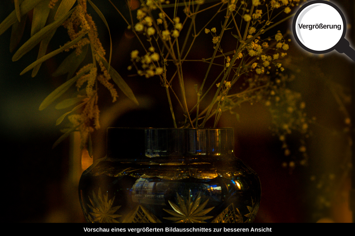 3-109-1694-bild-gross-vase-hinter-glas_l