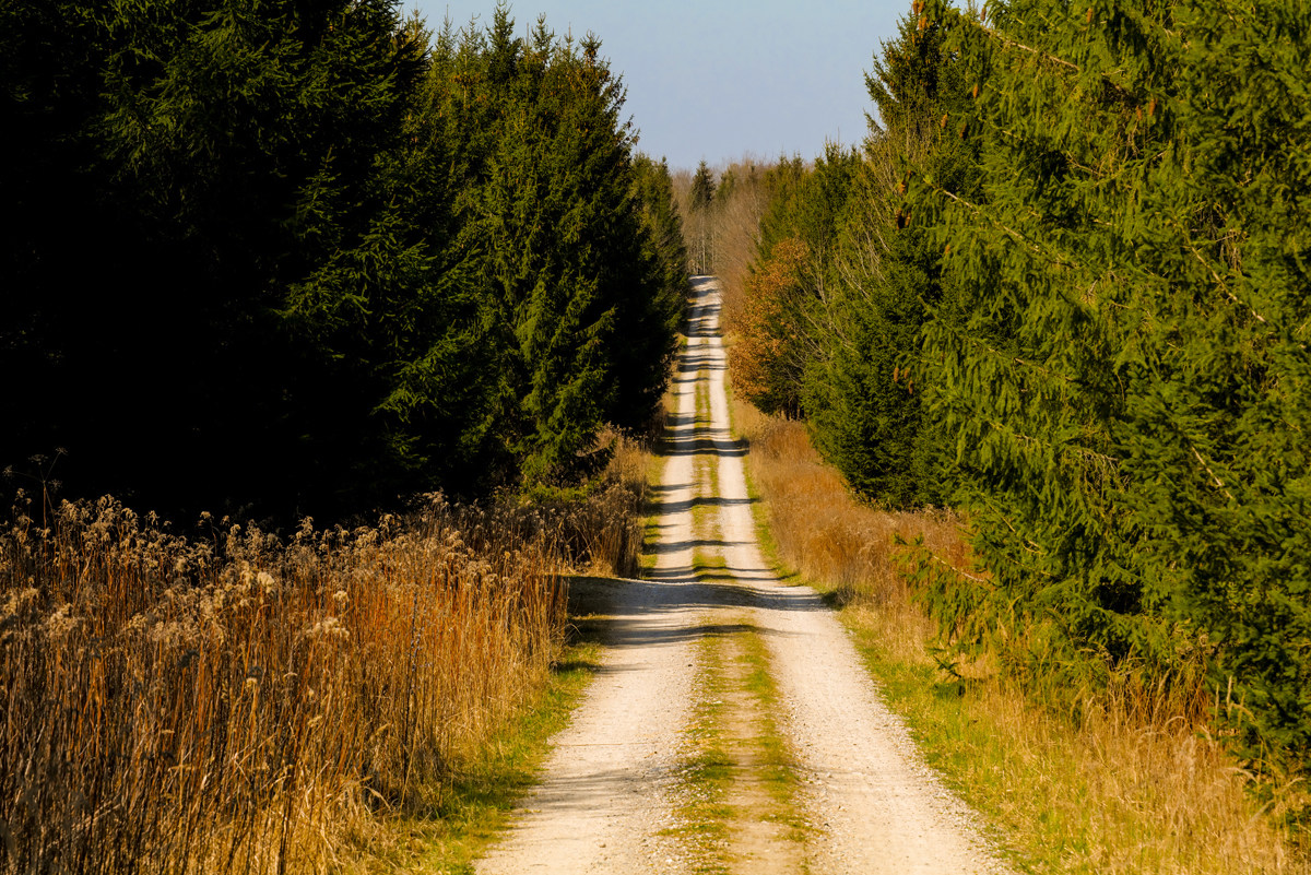 1-105-1692-natur-weg-hitze-art-gallery_l