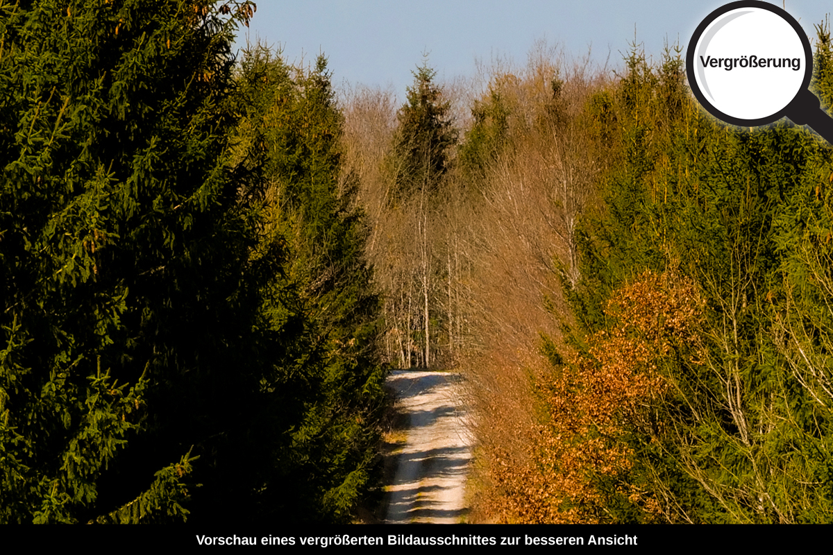 3-105-1692-bild-gross-natur-weg-hitze_l