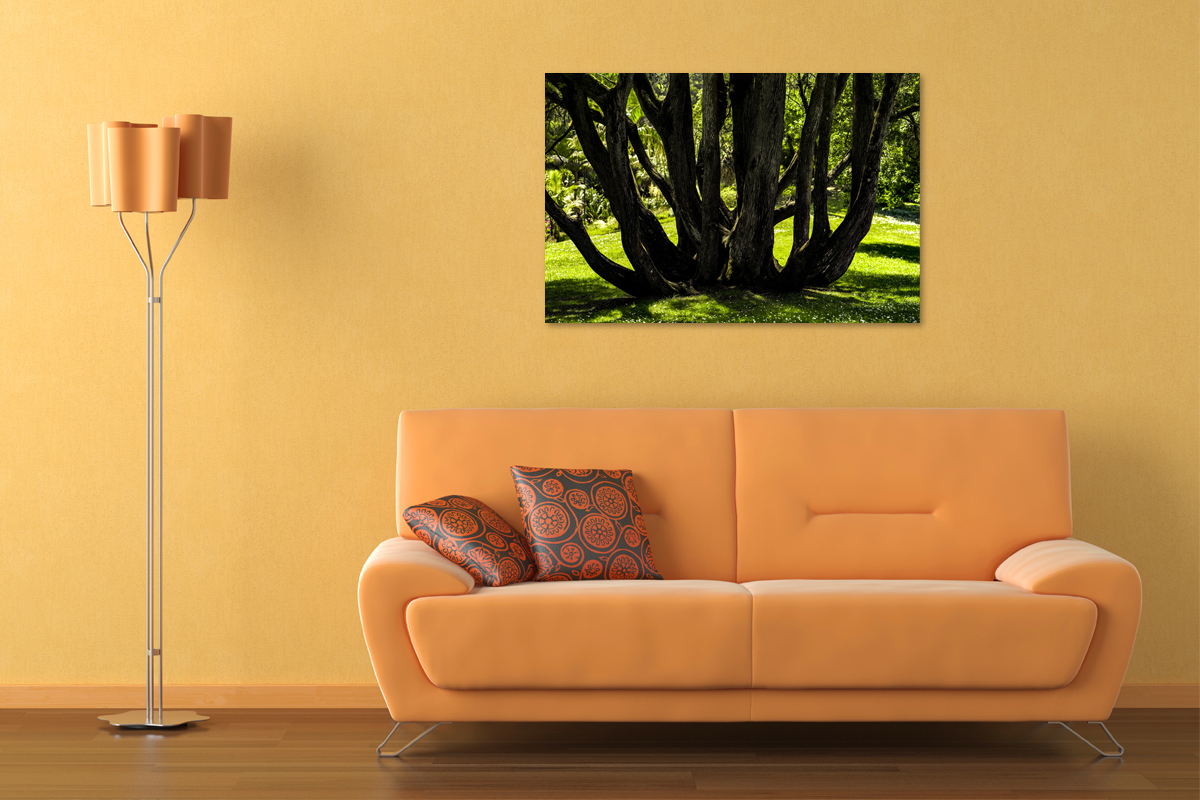 2-108-1704-wohnzimmer-baum-sommer_l.jpg