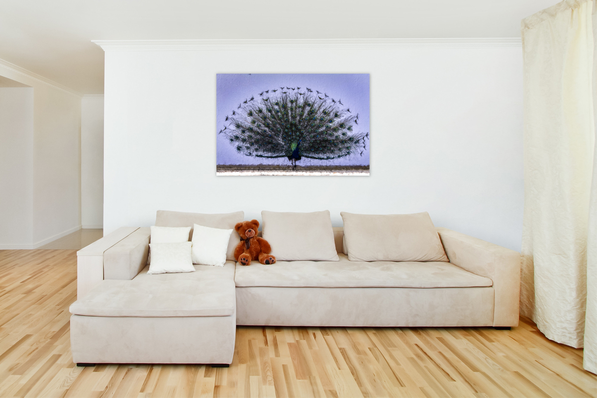 2-214-1175-wohnzimmer-blauer-pfau_l.jpg