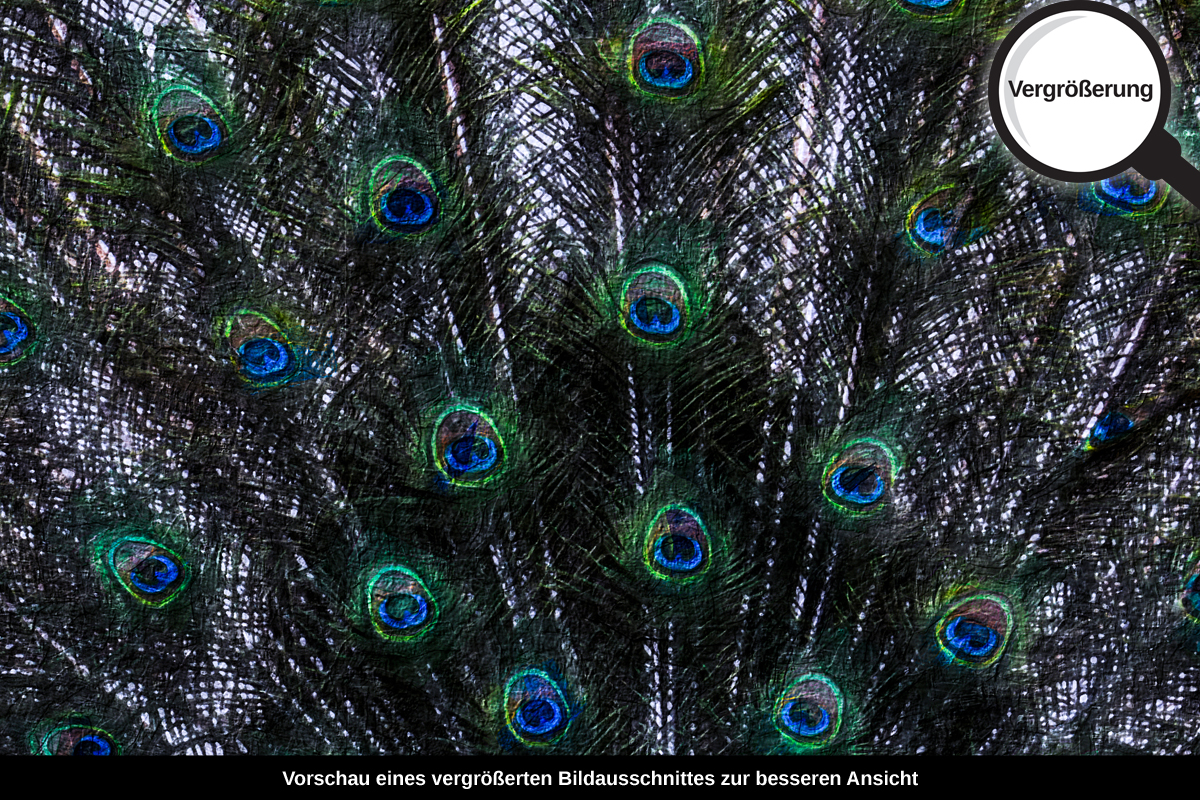 3-214-1175-bild-gross-blauer-pfau_l