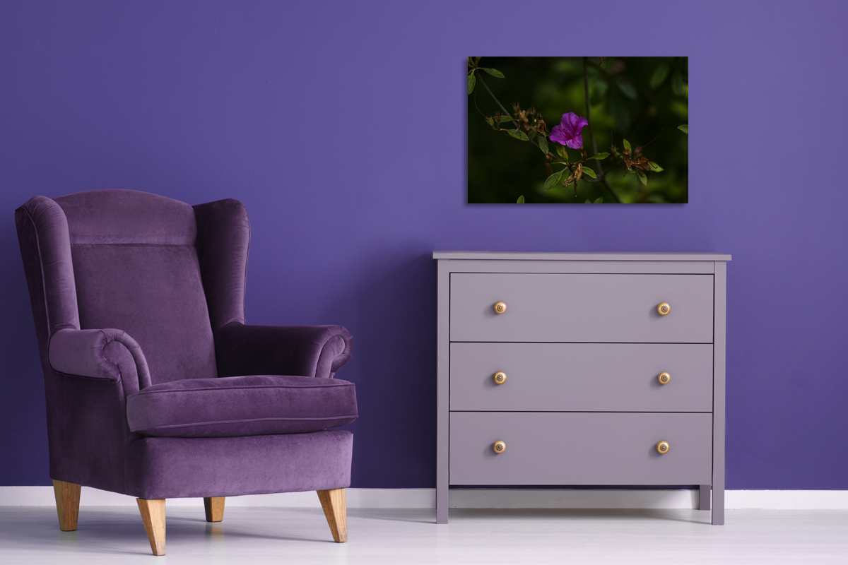 2-117-1709-schlafzimmer-blume-tau-morgen_l.jpg