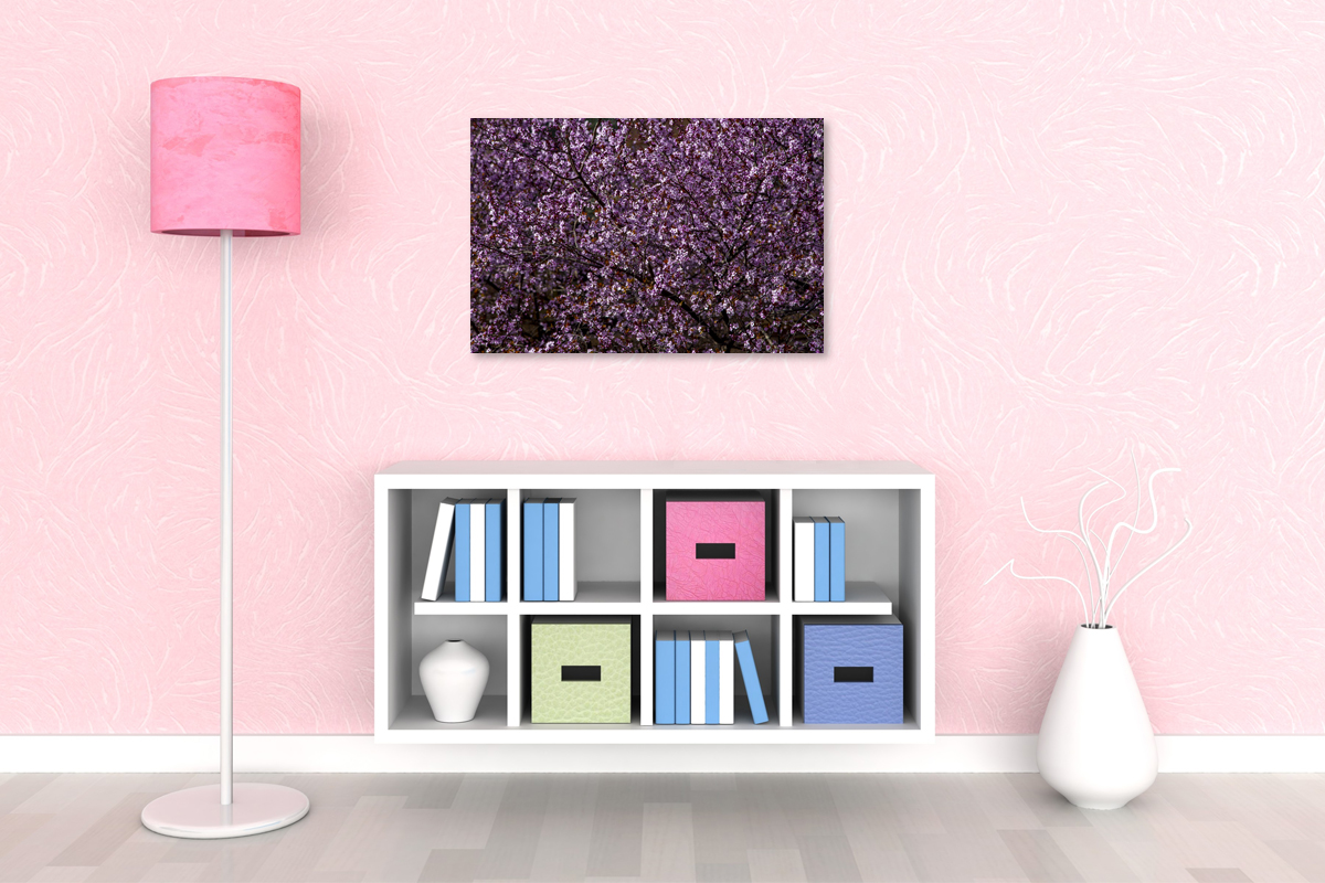 2-104-1360-wohnzimmer-fruehling-bluete-blume-galerien-gallery_l