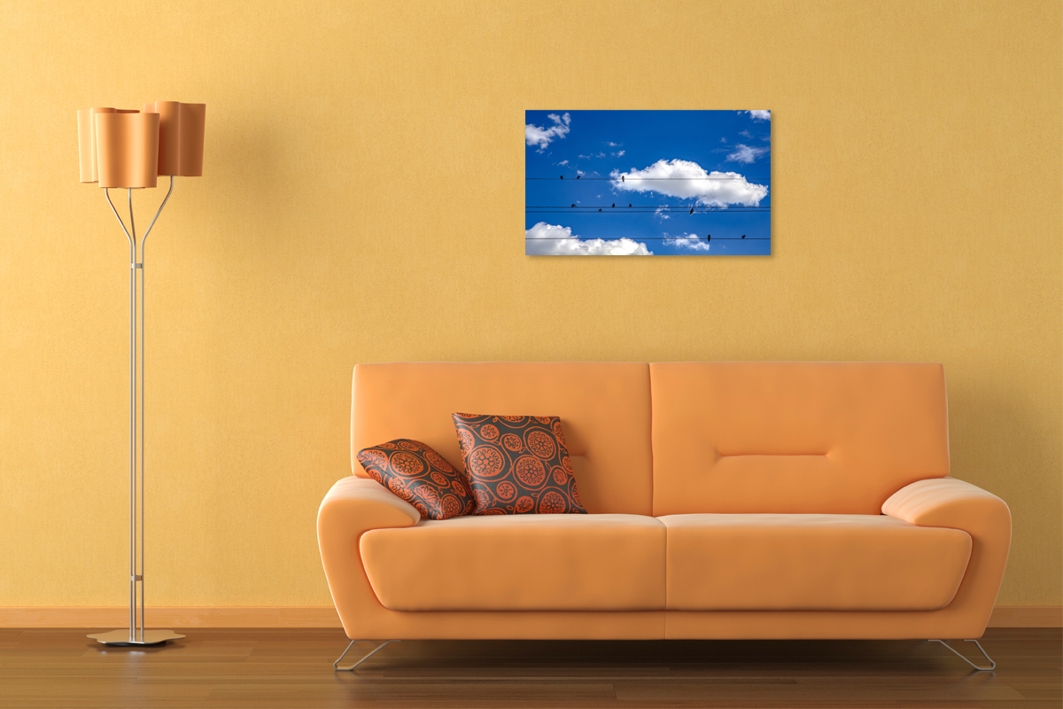 2-116-1340-wohnzimmer-notensystem-vogel-himmel-kabel-kultur-gallery_l