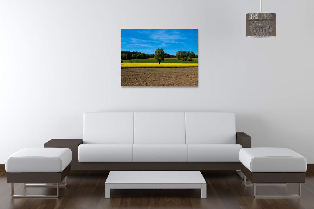 2-105-1738-wohnzimmer-himmel-baum-acker-raps-feld_l