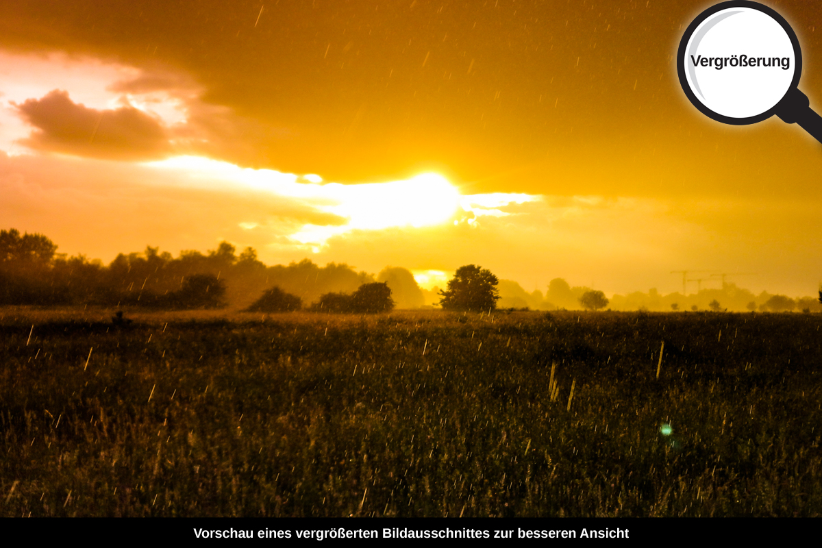 3-108-1747-bild-gross-feld-sommer-regen-sonne-gras-himmel-wolken_l