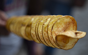 103-1492-apfel-chips-auf-rechnung-beruehmter-kuenstler