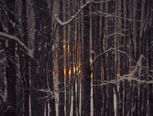 104-1287-winter-wald-haus-licht-durch-baeume-fotokunst-online-kaufen-freude-der-kunden_s