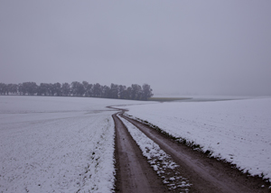 104-1557-winter-weg-schneebedecktes-feld-hochwertige-sonderanfertigungen-holzbilder_s