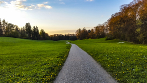 105-1026-gras-weg-spaziergang-kunstdrucke-auf-leinwand-kuenstlerisches-unikat