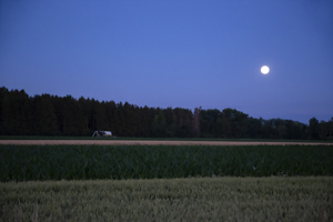 105-1116-feld-nacht-mond-uebernachtung-limitiert-muenchen-bilder