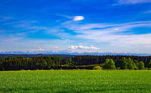 105-1183-gruenes-gras-berge-in-der-ferne-himmel-praesentation-sammlungspraesentation