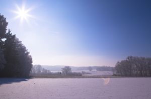 105-1365-winter-plattenland-top-qualitaet-vom-kunstklassiker