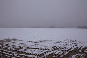 105-1558-winterfeld-kaelte-wohnzimmerwand-zeitgenoessische-kunst_s