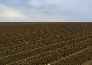 105-1644-acker-feld-himmel-zeitgenoessischer-fotografie-acrylglasbild