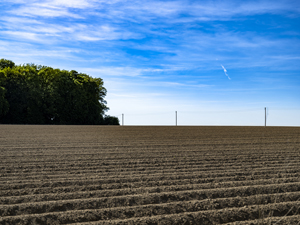 105-1733-acker-wolken-kuenstlerisches-unikat-limitiert