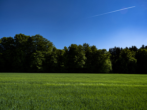 105-1734-gruene-landschaft-flugzeug-im-himmel-online-kaufen-personalisierung