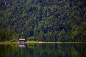 108-1265-einsam-urwald-wasserspiegel-leinwand-reproduktionen