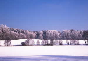 108-1375-wintermaerchen-frost-und-sonne-malerei-sonderanfertigungen_s