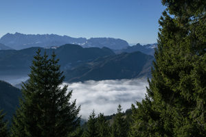 108-1413-wolke-gipfel-baeume-stille-galerie-qualitaet-wechselbilderrahmen