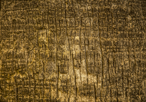 108-1634-holz-baum-natur-muster-kunstfotografien-holzbilder