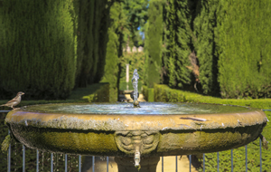 109-1212-wasserbrunnen-garten-sperling-vom-kunstklassiker-wechselbilderrahmen