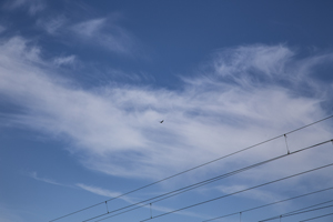 116-1298-himmel-wolke-vogel-kabel-kuechenbilder-galerien