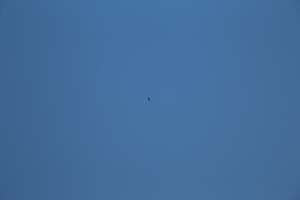 116-1535-himmel-blau-wolkenlos-jeglichen-rahmen-galerie-qualitaet