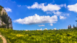 208-1165-sonniger-himmel-feld-mit-gelben-blumen-leinwanddrucke-gemaelde