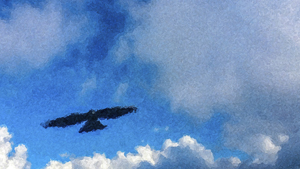214-1013-himmel-wolken-vogel-verschoenerung-bilder