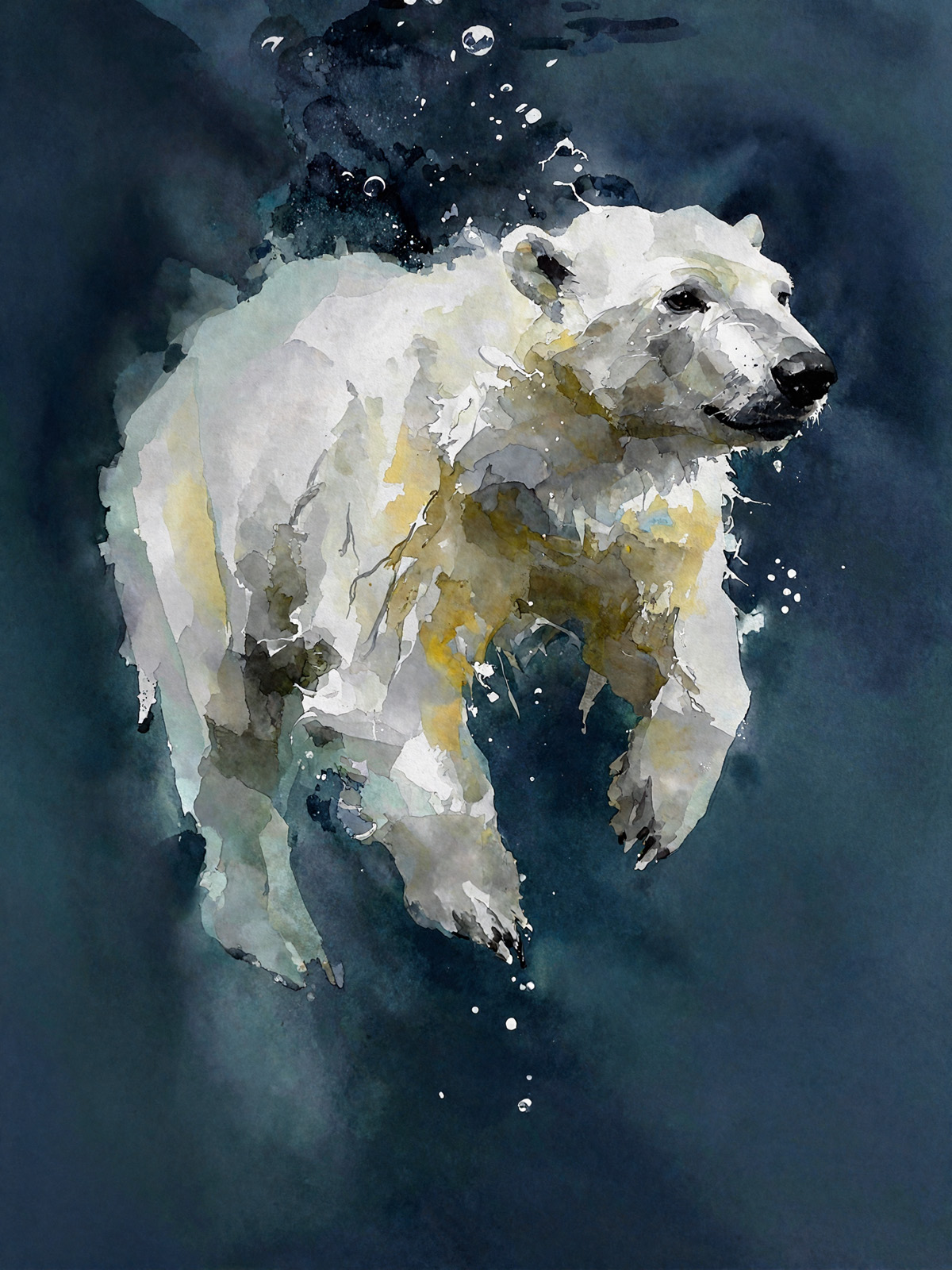 214-1759-Eisbear-unter-Wasser-einzigartig-fotokunst
