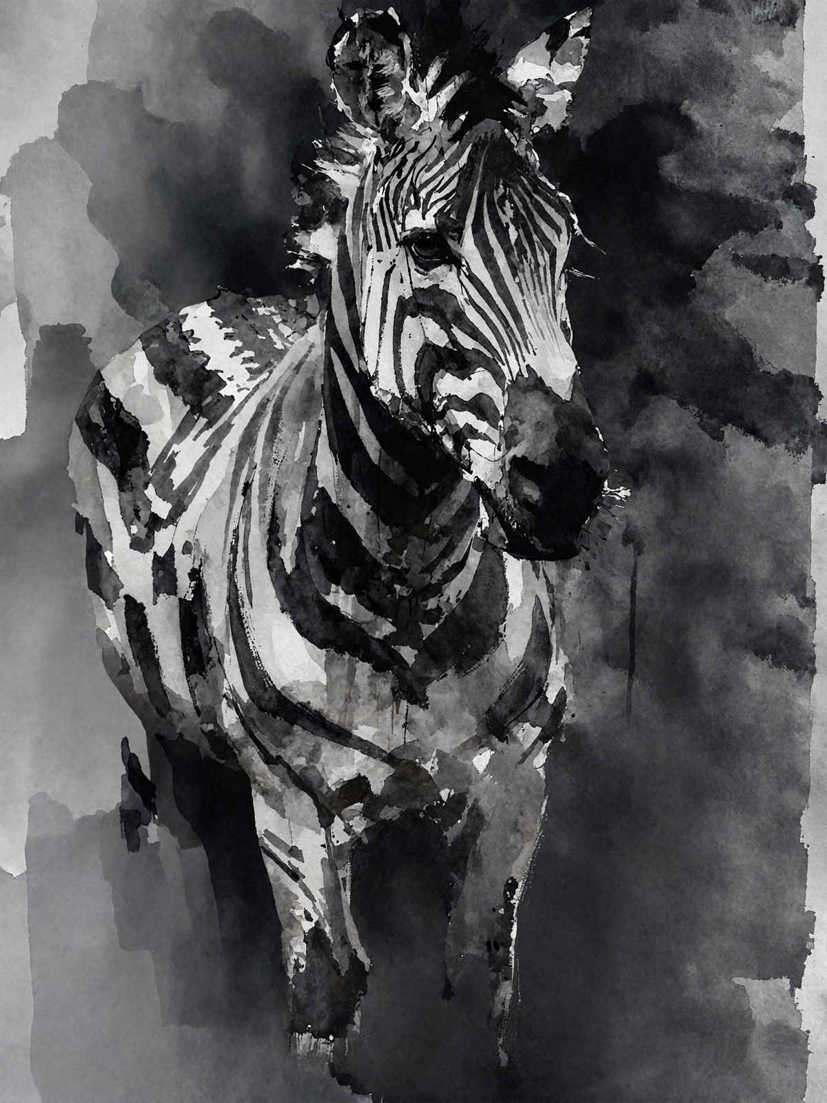 214-1775-Zebra-in-der-Dunkelheit-motive-personalisierung